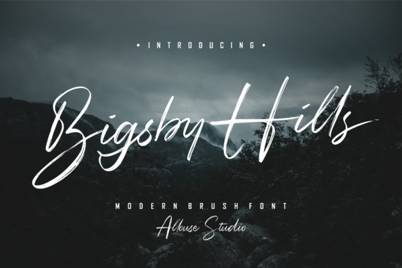 Bigsby Hills: A Classy Script Font for Modern Branding and Social Media