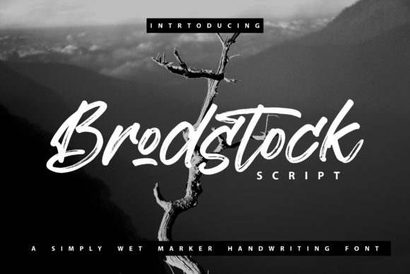 Brodstock: A Paint Brushed Handwritten Font for Editorial Elegance