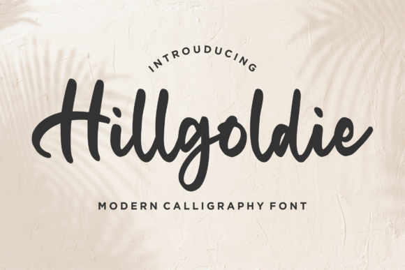 Hillgoldie: A Clean Paint Brushed Handwritten Font for Business Branding